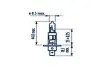 Автолампа H1 55W P14,5S RP50 + 12V 55W P14,5s BL NARVA 483344000 (фото 2)