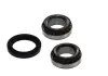 Комплект подшипника ступицы колеса SKF VKBA1333