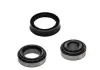 Комплект подшипника ступицы колеса SKF VKBA3519