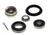 Комплект подшипника ступицы колеса SKF VKBA 529