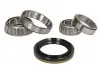 Комплект подшипника ступицы колеса SKF VKBA596