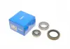 Комплект подшипника ступицы колеса SKF VKBA941