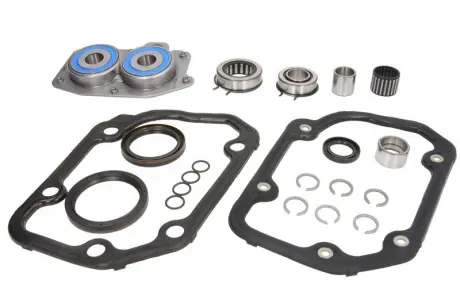 Комплект підшипників КПП Gearbox INA 462 0055 10
