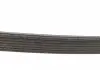 Пас приводной с длиной окружности более 240см DAYCO 7PK2711S (фото 4)