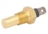 Датчик температури рідини Vernet WS2512