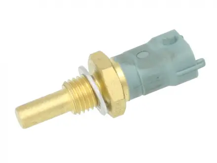 Датчик температури рідини Vernet WS2598