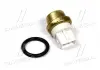 Датчик температури рідини Vernet WS2603