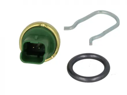 Датчик температури рідини Vernet WS2609