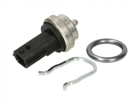 Датчик температури рідини Vernet WS3019