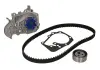 Комплект ременя ГРМ + помпа SKF VKMC06003