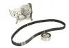 Комплект ременя ГРМ + помпа SKF VKMC06005