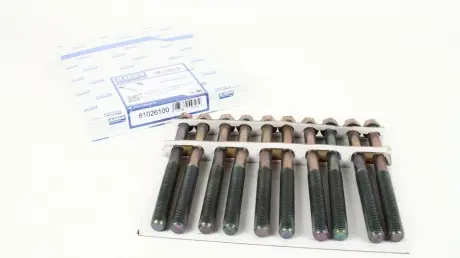 К-т болтов головки цилиндров AJUSA 81026100