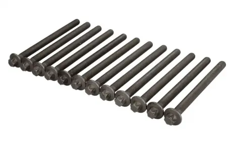 К-Т болтов ГБЦ Aveo 1,2-1,4 ELRING 751.970