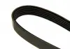 Ремень П-клиновой 5PK1644 HYUNDAI / KIA / SUZUKI Accent / Getz / i10 / i20 / i30 / Cerato / Grand Vitara \ &#039;\&#039; 96 &gt;&gt; BOSCH 1987946237 (фото 4)