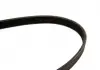 Ремінь поліклиновий 6PK1715 FORD 1,8: Focus, Mondeo; OPEL Frontera 2,0 / 2,2; RENAULT; VW T4; LANCIA 1987948453