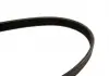 Ремень поликлиновой 6PK1715 FORD 1,8: Focus, Mondeo; OPEL Frontera 2,0 / 2,2; RENAULT; VW T4; LANCIA BOSCH 1987948453 (фото 3)