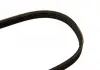 Ремень поликлиновой 4PK850 CITROEN Berlingo 1,4 / 1,6; HONDA; MAZDA; NISSAN; TOYOTA BOSCH 1987947895 (фото 2)