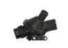 Термостат Mahle TM 25103 TM 25 108