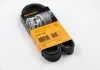Ремень поликлиновой Conti 5PK1300