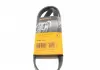 Ремень поликлиновой Conti 5PK920