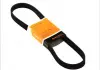 Ремень поликлиновой Conti 6PK1005