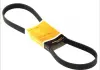 Ремень поликлиновой Conti 6PK1019ELAST