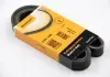 Ремень поликлиновой Conti 6PK1240