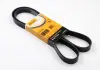 Ремінь поліклиновий Conti 6PK1440