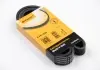 Ремень поликлиновой Conti 6PK1555
