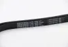 Ремень поликлиновой Conti 6PK1660