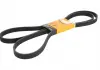 Ремень поликлиновой Conti 6PK2285