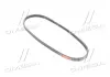 Ремень поликлиновой Gates 3PK700