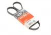 Ремінь поліклиновий Gates 4PK1183