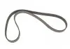 Ремень поликлиновый Gates 5PK1013