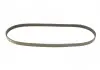 Ремень поликлиновый Gates 5PK1095