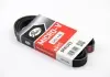Ремень поликлиновый Gates 5PK1303