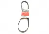 Ремень поликлиновой Gates 6PK1003