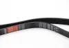 Ремінь поліклиновий Gates 6PK1203