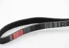 Ремень поликлиновый Gates 6PK1560