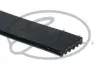Ремінь поліклиновий Gates 6PK1835XS