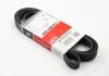 Ремень поликлиновый Gates 6PK2075