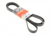 Ремень поликлиновой Gates 6PK2563