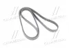 Ремень поликлиновый Gates 7PK2225
