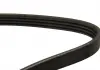 Ремень поликлиновой DAYCO 4PK1520 (фото 2)