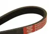 Ремень поликлиновой DAYCO 5PK1115 (фото 2)