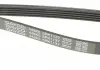 Ремень поликлиновой DAYCO 5PK1137 (фото 4)