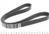 Ремень поликлиновой DAYCO 6PK1019EE (фото 3)