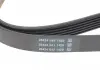Ремень поликлиновой DAYCO 6PK1040 (фото 3)