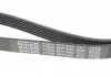 Ремень поликлиновой DAYCO 6PK1040 (фото 4)