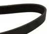 Ремень поликлиновой DAYCO 6PK1450 (фото 2)